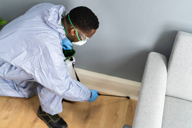 Best Bed Bug Extermination  in Carey, OH